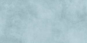 Керамическая плитка Alma Ceramica Richard TWU09RCD606 24.9x50
