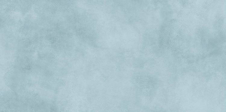 Керамическая плитка Alma Ceramica Richard TWU09RCD606 24.9x50