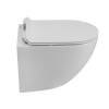 Унитаз подвесной BelBagno Amanda BB051CH-TOR-FC/BB2011SC безободковый, сиденье микролифт фото 4