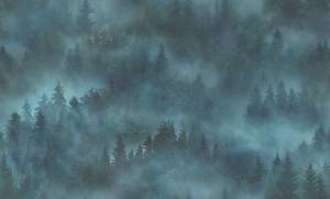 Обои флизелиновые HomeColor My Forest HC71960-67