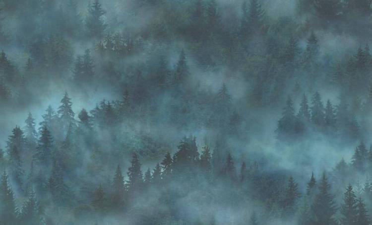 Обои флизелиновые HomeColor My Forest HC71960-67