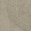Керамогранит Refin Fossil LT85 Beige Rett 60x60 фото 4