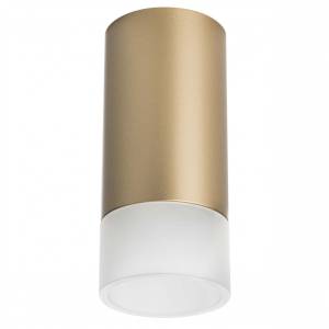Потолочный светильник Lightstar Rullo R44031