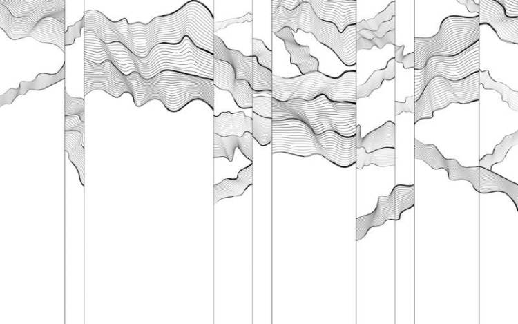 3D Фотообои Artegrafico «Черно-белая геометрия линий» LST-025 акварель