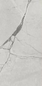 Керамогранит Mega Tile Stone Regal-Silver Mat 60x120