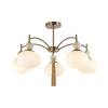 Люстра на штанге Lumion Neoclassi 8272/5C фото 4