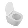 Унитаз подвесной BelBagno Flay-R BB053CHR/SC безободковый, с сиденьем микролифт, белый фото 3