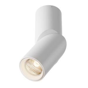 Потолочный светильник Technical Dafne C027CL-L10W