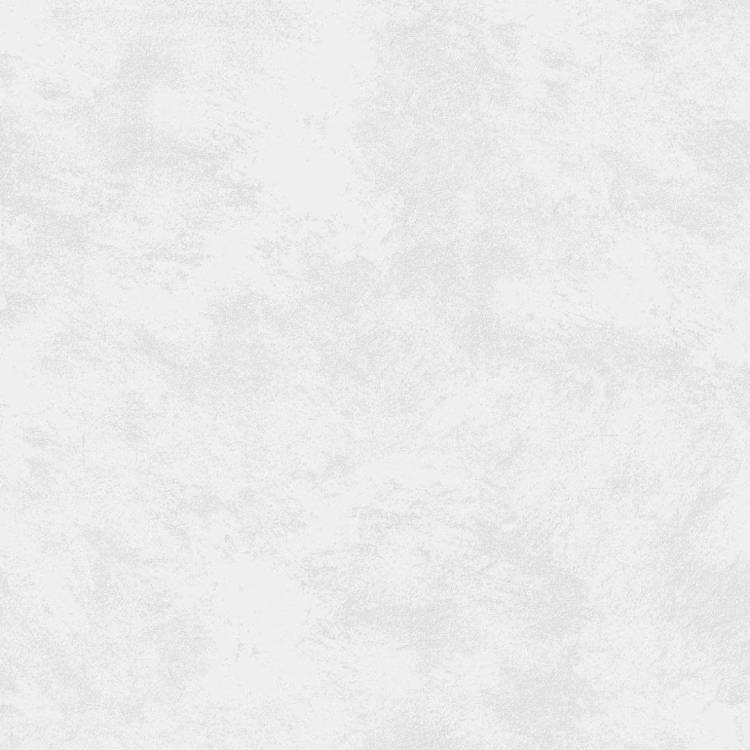 Керамогранит Emigres Riga Pav. White 60x60