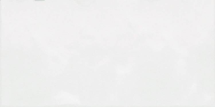 Керамическая плитка Alma Ceramica TWU09MNR030 Monocolor 24.9x50