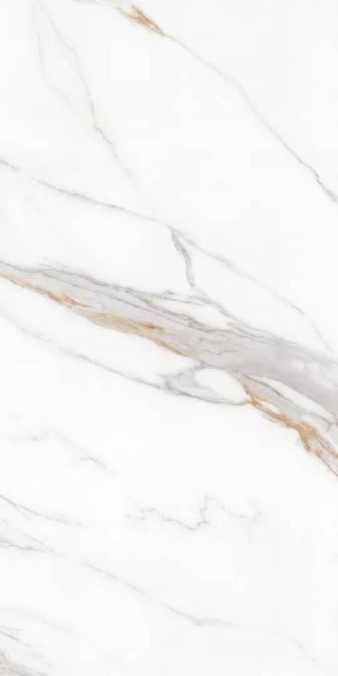 Керамогранит Protiles Bianco PT12J7058 Carving 60x120