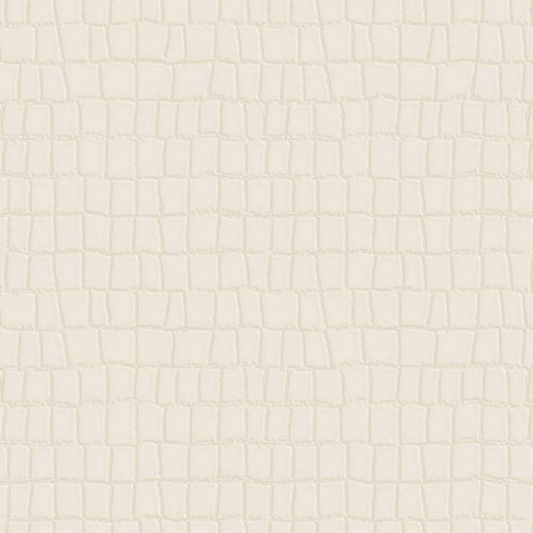 Обои Zambaiti Parati Philipp Plein 2 Z81035