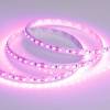Светодиодная лента Arlight 9,6W/m 120LED/m 2835SMD розовый 5M 015897(2)