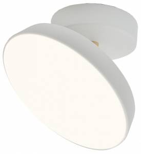 Потолочный светильник Escada 20023SMA/01LED WH