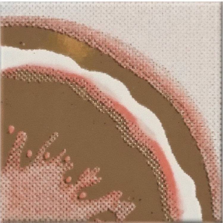 Декор Opoczno Inwencja Melon Centro 10x10