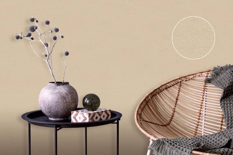 Monte Solaro Vernice