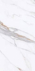 Керамогранит Protiles Bianco PT12P7059 Pol 60x120