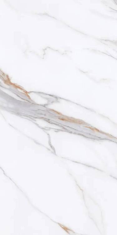 Керамогранит Protiles Bianco PT12P7059 Pol 60x120