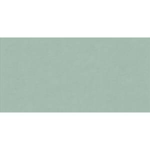 Керамическая плитка ABK Wide & Style Mini PF60008232 Mint Ret 60x120