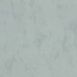 Обои Euro Decor Ray 7297-04
