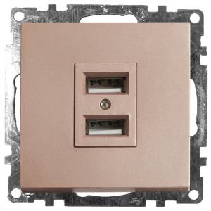 Розетка двойная с USB Stekker Катрин 39602