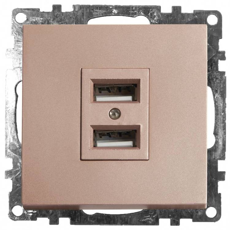 Розетка двойная с USB Stekker Катрин 39602