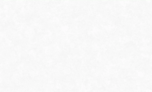 Обои Erismann Anika 6189-1