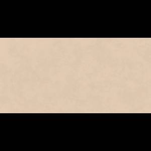 Керамогранит Asia Pacific Fango matt 60x120