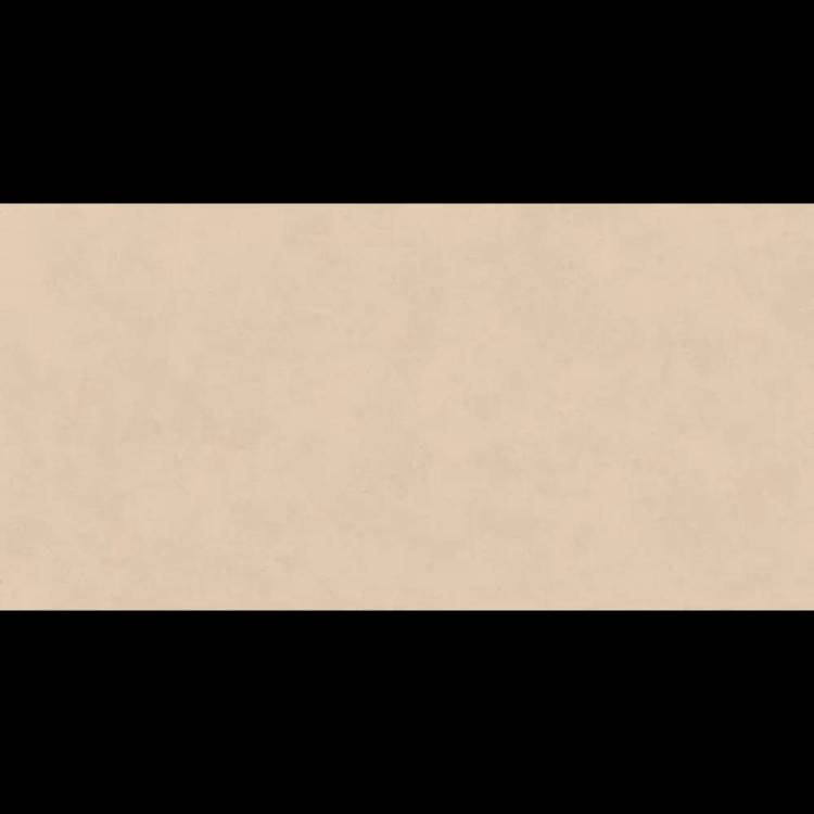 Керамогранит Asia Pacific Fango matt 60x120