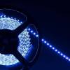 Светодиодная лента Arlight 9,6W/m 120LED/m 3528SMD синий 5M 015660(1) фото 2