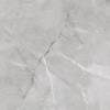 Керамогранит Absolut Gres Armani Silver AB 1143G 60x60