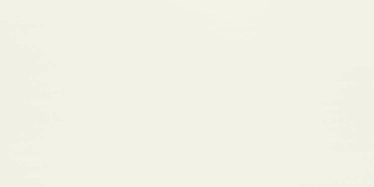 Керамическая плитка Domino Burano white 30.8x60.8