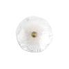 Настенный светильник Loft IT Bloom 10352W/A AB фото 6