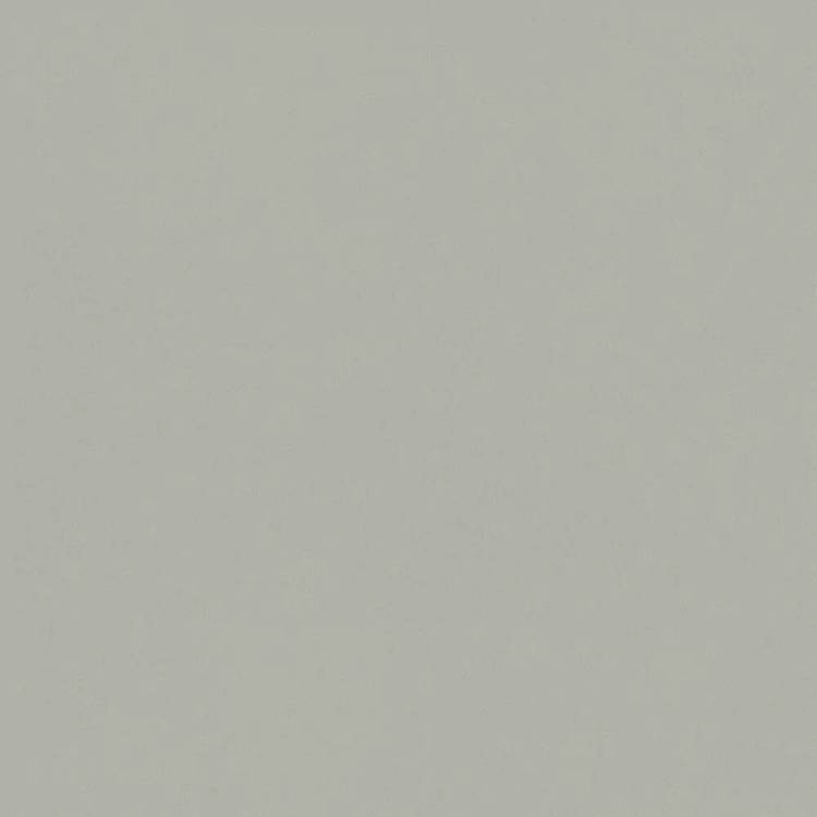 Обои Cassanie Simply SP008