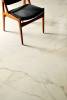 Керамогранит Fioranese Prestige M3751LR Statuarietto effect levigato 74x74 фото 14