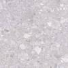 Керамогранит Laparet Matrix K952738R0001LPET Светло-Серый 60x60 фото 6