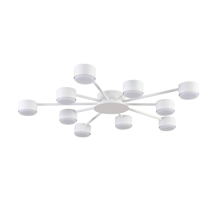Потолочная люстра Lumion Torina 8343/10C