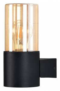 Настенный светильник Arte Lamp Seginus A6515AL-1BK