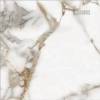Керамогранит Absolut Gres Oro Bianco AB 1131G gloss 600x600 фото 2