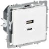 Розетка USB type A+C IEK Brite BR-U22-045-K91 арктический белый
