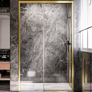Душевая дверь Veconi Premium Trento PTD-30G 120 PTD30-G-120-01-C4 профиль, брашированное золото
