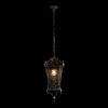Уличный подвесной светильник Loft IT Tremezzo 100019P BS фото 4