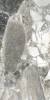 Керамогранит Gresant Silas Beige Sugar Carving 60х120 фото 3