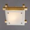 Потолочный светильник Arte Lamp 94 A6460PL-1BR фото 2