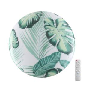 Настенно-потолочный светильник Sonex Flori Pale 7748/EL