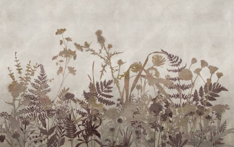 3D Фотообои Artegrafico «Светлая композиция из трав в поле» HRB-041 канвас