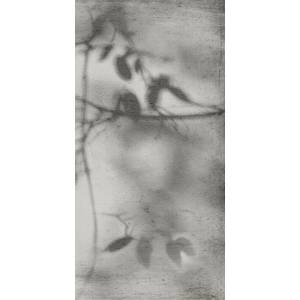 Керамогранит Flaviker Art Walls PF60012582 Shadow Nat R 60x120