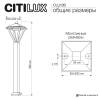 Ландшафтный светильник Citilux Genox CLU12B фото 12