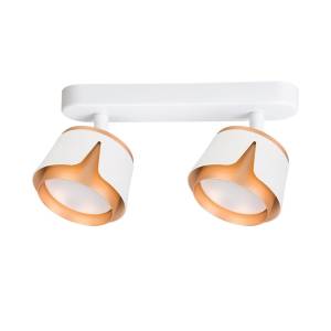 Светильник потолочный Arte Lamp Amaks A8028PL-2WH
