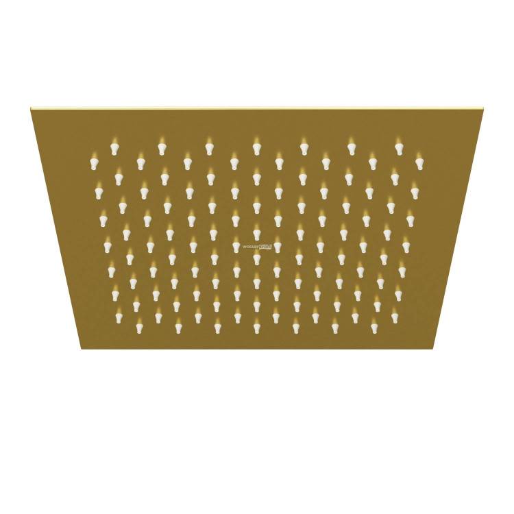 Верхний душ Wasserkraft Aisch A198